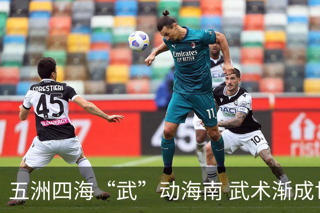 五洲四海“武”动海南 武术渐成世界语言