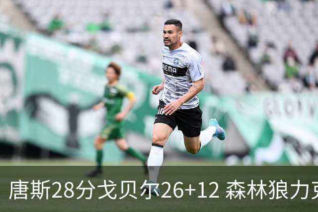 唐斯28分戈贝尔26+12 森林狼力克黄蜂4连胜