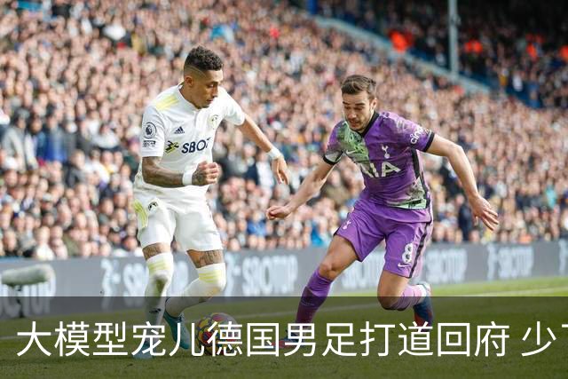 大模型宠儿德国男足打道回府 少了人性观察数据等于废纸