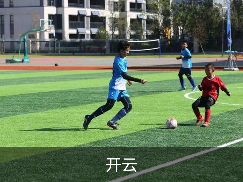 开云简介