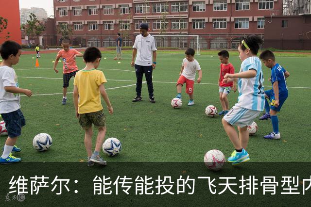 维萨尔：能传能投的飞天排骨型内线 需要大个子的球队不容错过